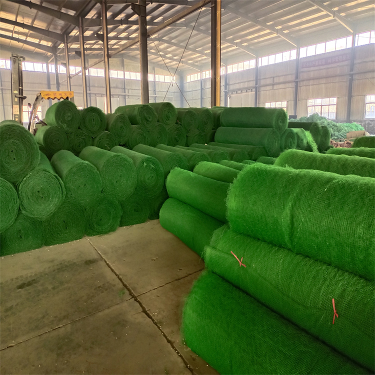 ��O���Sֲ���W����ЩҪ��